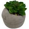 Imagen de Plantita cactus decorativa