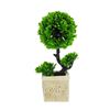 Imagen de Adorno maceta rústica con arbolitos