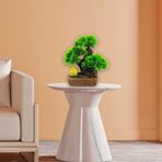 Imagen de Adorno maceta rústica con bonsai de pino