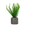Imagen de Adorno maceta rústica con helecho