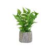 Imagen de Adorno maceta rústica con helecho