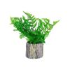 Imagen de Adorno maceta rústica con helecho
