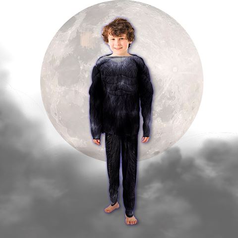 Imagen de Disfraz infantil de lobo - talles s, m, l