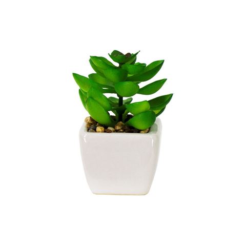 Imagen de Plantas decorativas cactus en florero  ceramica