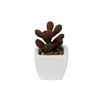 Imagen de Plantas decorativas cactus en florero  ceramica