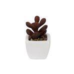 Imagen de Plantas decorativas cactus en florero  ceramica
