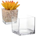 Imagen de Pecera vidrio cuadrada 12cmx12cm