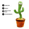 Imagen de Cactus bailarín