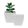Imagen de Maceta plástica blanca cuadrada