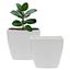 Imagen de Maceta  plástica blanca cuadrada