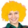 Imagen de Peluca pelo rulos