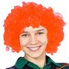 Imagen de Peluca pelo rulos