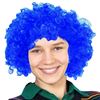 Imagen de Peluca pelo rulos