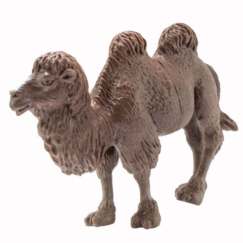 Imagen de Animales de la jungla