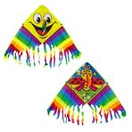 Imagen de Cometa con tanza