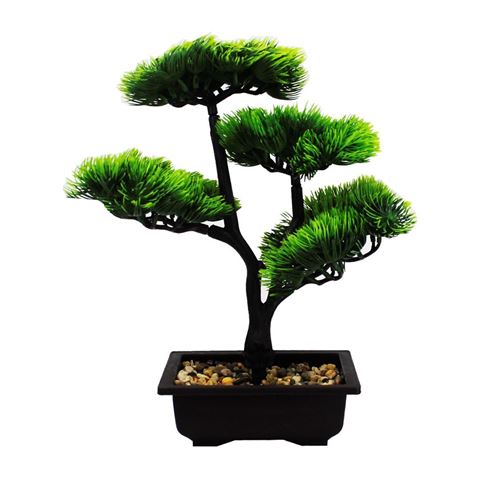 Imagen de Árbol bonsai con maceta