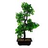 Imagen de Árbol bonsai con maceta