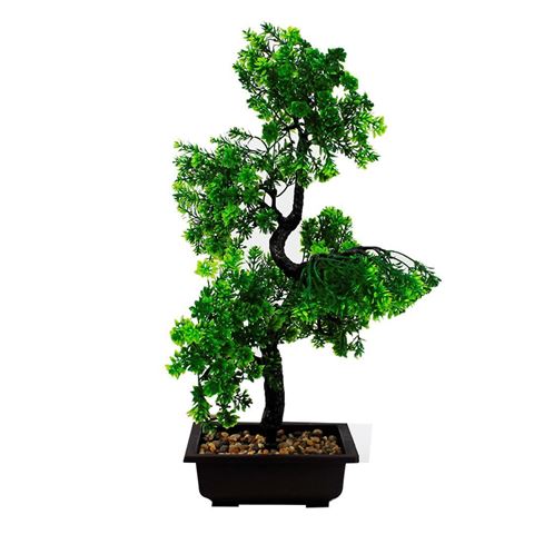 Imagen de Árbol bonsai con maceta