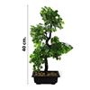 Imagen de Árbol bonsai con maceta