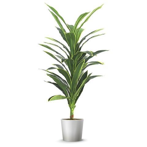 Imagen de Planta artificial Palo de agua 1,50 m de altura