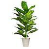 Imagen de Planta artificial Dieffenbachia - 1,5 m de altura