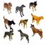 Imagen de Perros Juguete - Animales Perros Diseños Surtidos