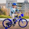 Imagen de Bicicleta rod. 16 canasto + rueditas + accesorios niño niña