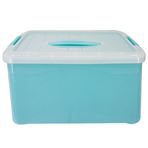 Imagen de Caja de almacenamiento plástica con tapa 19,5x32cm