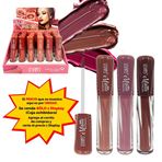 Imagen de Brillo labial con aplicador Ushas