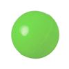 Imagen de Pelota goma maciza lisa para paleta