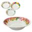 Imagen de Bowl de melamina estampado - Diseños Surtidos