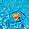 Imagen de Limpiador  de hojas para piscina mango telescópico de aluminio