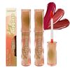 Imagen de Brillo labial Febble color-FBC005