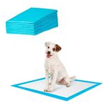 Imagen de Alfombra higiénica de entrenamiento para perros gatos