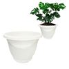 Imagen de Maceta plástica Blanca