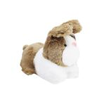 Imagen de Peluche Conejo 23cm - 4 colores