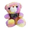 Imagen de Peluche Oso Multicolor Diseños Surtidos