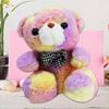 Imagen de Peluche Oso Multicolor Diseños Surtidos