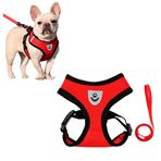 Imagen de Arnés Pechera Para Mascotas con correa Talle XL