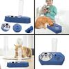 Imagen de Plato doble para mascotas - Plato comida acero + Plato agua + Botella surtidora