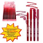 Imagen de Lapiz delineador Ushas para labios-UP020-MIX