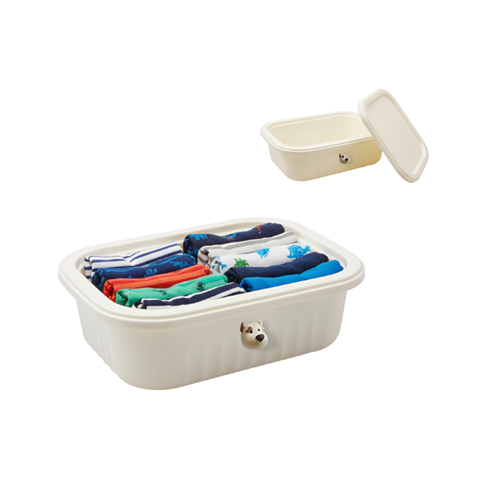 Imagen de Caja Organizadora en plástico Con tapa - 1 Caja de 24x16x 8cm