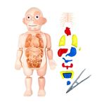 Imagen de Juego Puzzle de Anatomía Cuerpo Humano  -Juego Didáctico