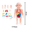 Imagen de Juego Puzzle de Anatomía Cuerpo Humano  -Juego Didáctico