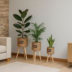 Imagen de Porta macetas Estilo Boho rustico x 3 piezas