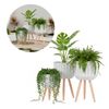 Imagen de Porta Macetas Set x 3 Piezas Decoración Hogar y Jardin
