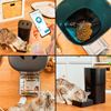 Imagen de Dispensador automático comida para mascota  Bluetooth