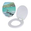 Imagen de Tapa inodoro water asiento acolchonado diseños estampados