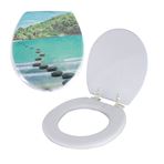 Imagen de Tapa inodoro water asiento acolchonado diseños estampados