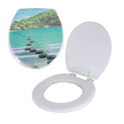Imagen de Tapa inodoro water asiento acolchonado diseños estampados